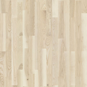 Parket jasen Orlando  