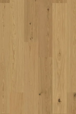 Skogen 3.0